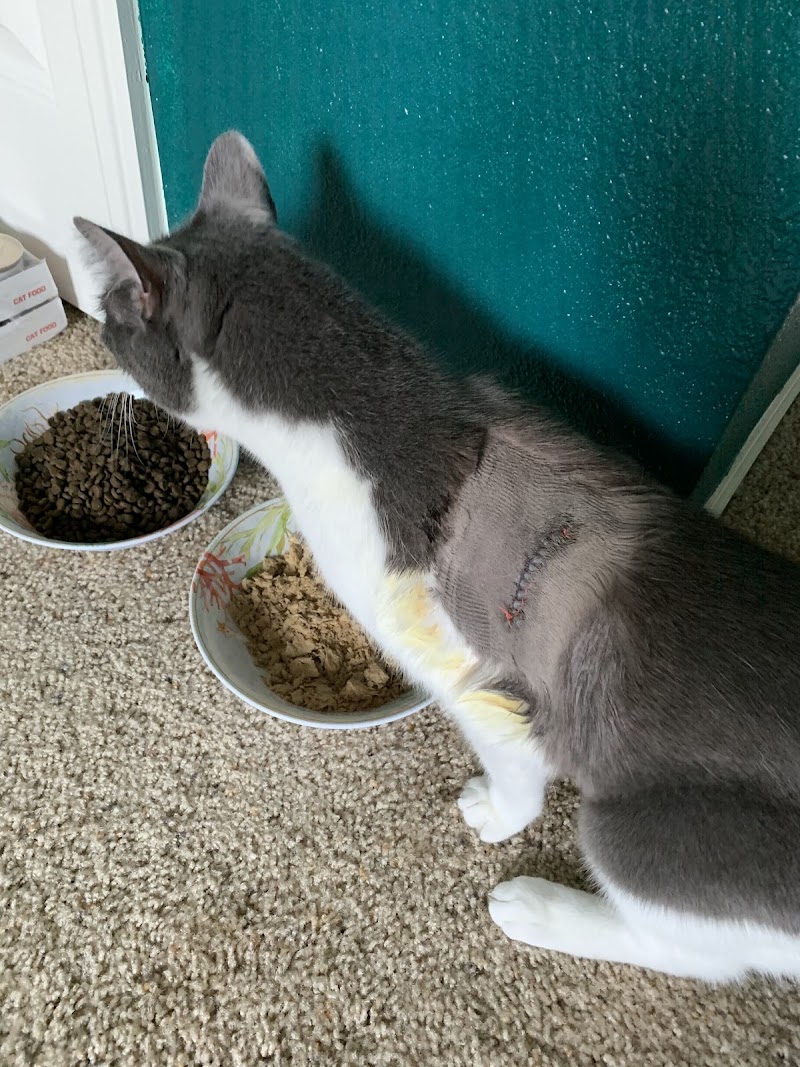 Advanced Veterinary Services photo 4