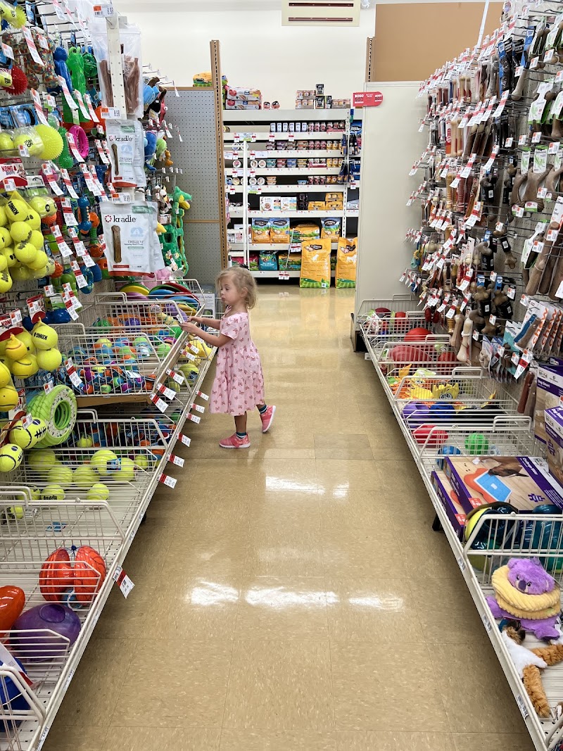 Pet Supplies Plus Clearwater photo 2