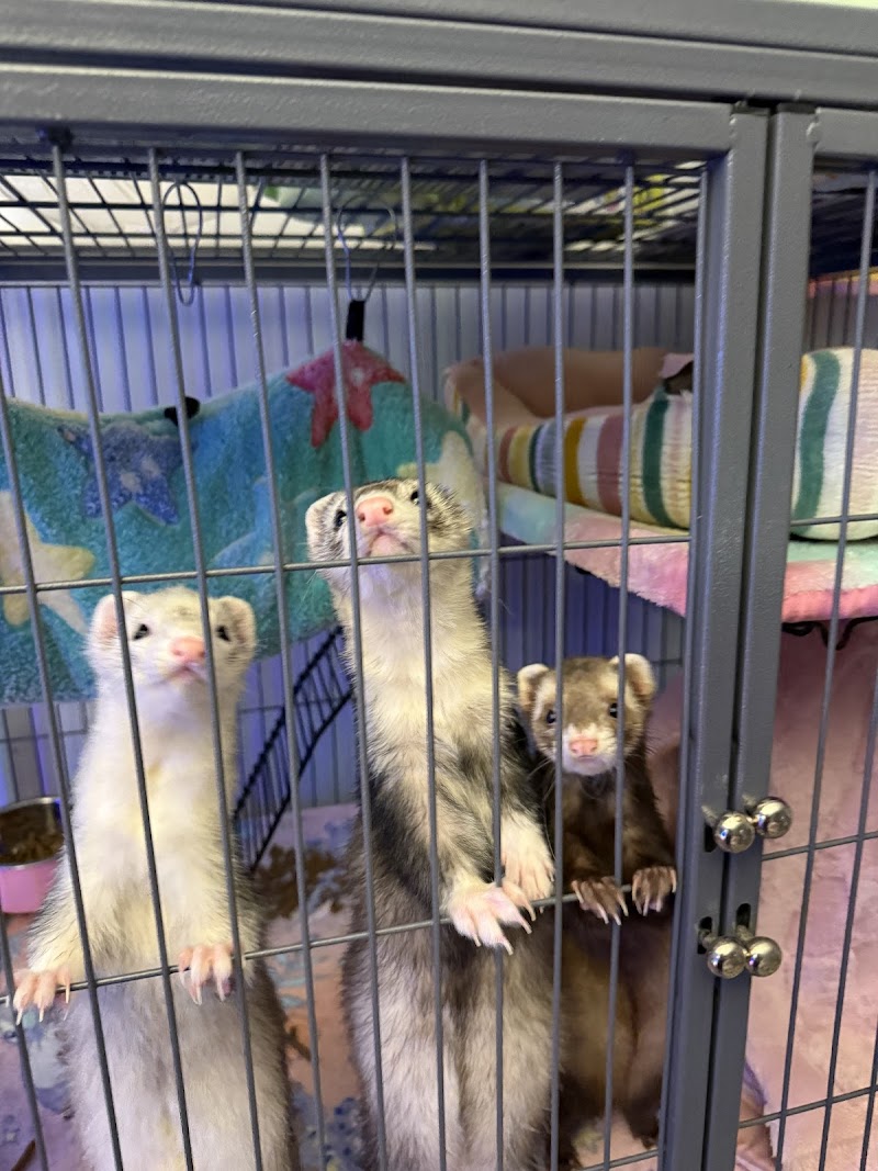 Pet Supplies Plus Clearwater photo 4