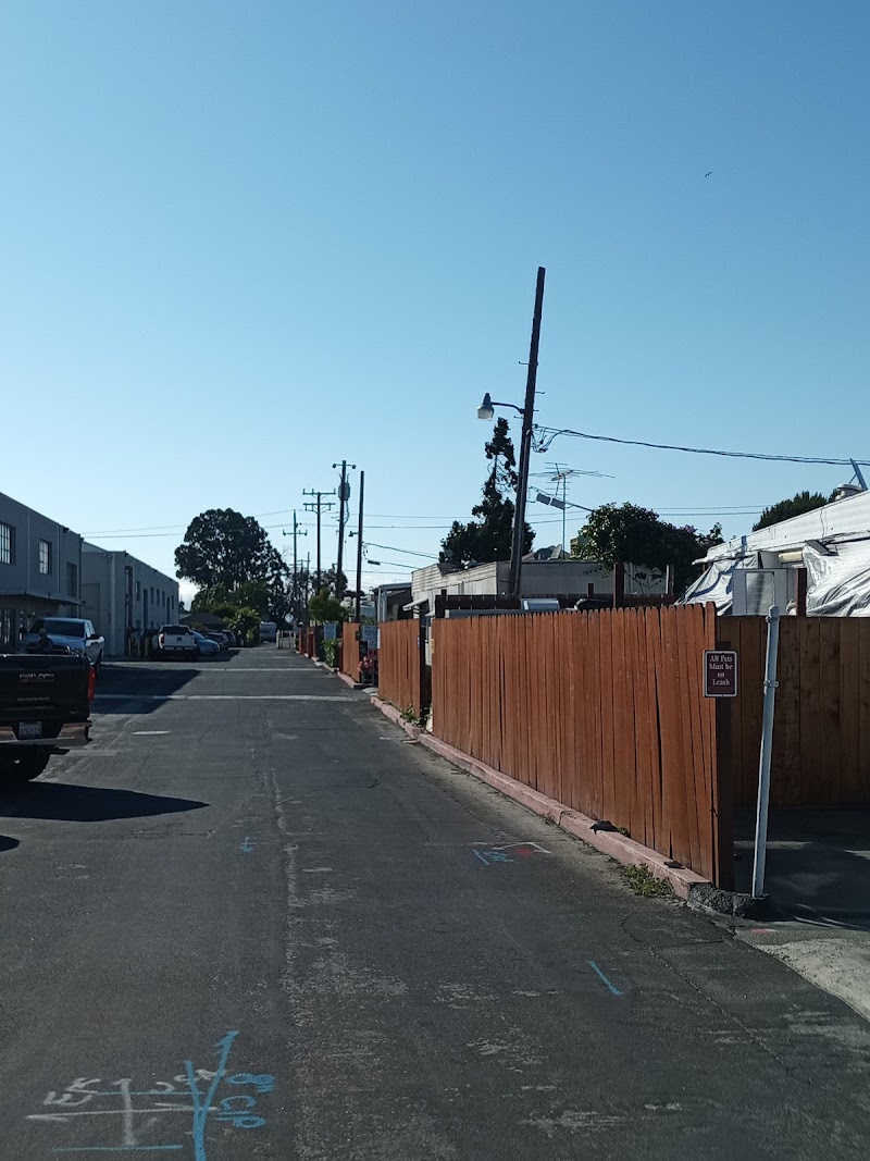 Belmont Trailer Park photo 2
