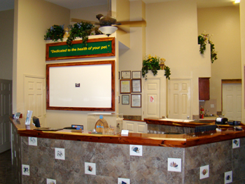 Walden Lake Animal Clinic photo 2
