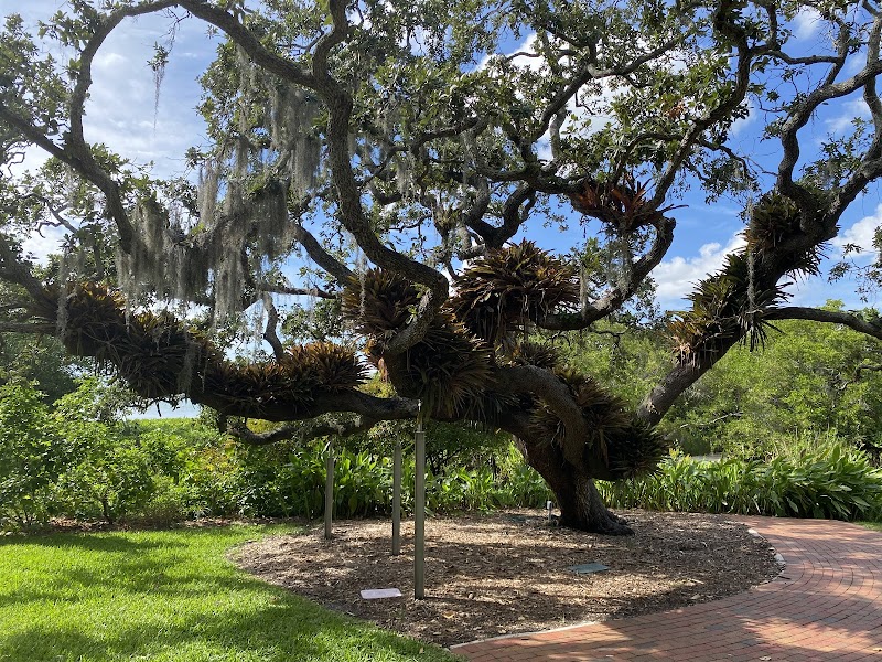 Marie Selby Botanical Gardens Downtown Sarasota photo 2
