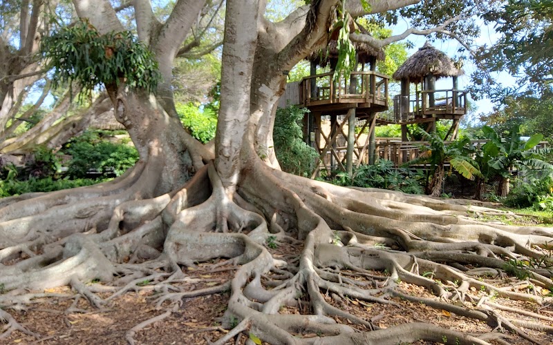 Marie Selby Botanical Gardens Downtown Sarasota photo 3