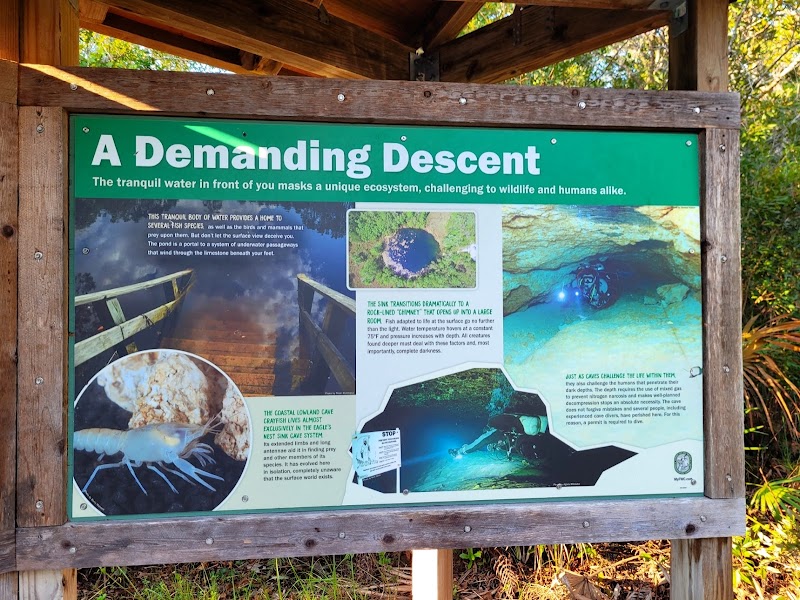 Eagles Nest - Florida Cave Diving photo 4