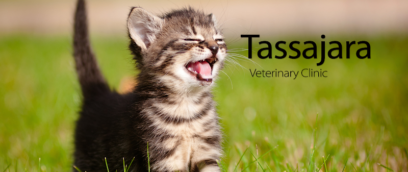 Photo of Tassajara Veterinary Clinic