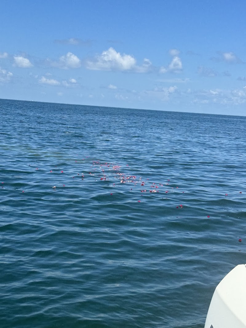 Ocean Ashes photo 2
