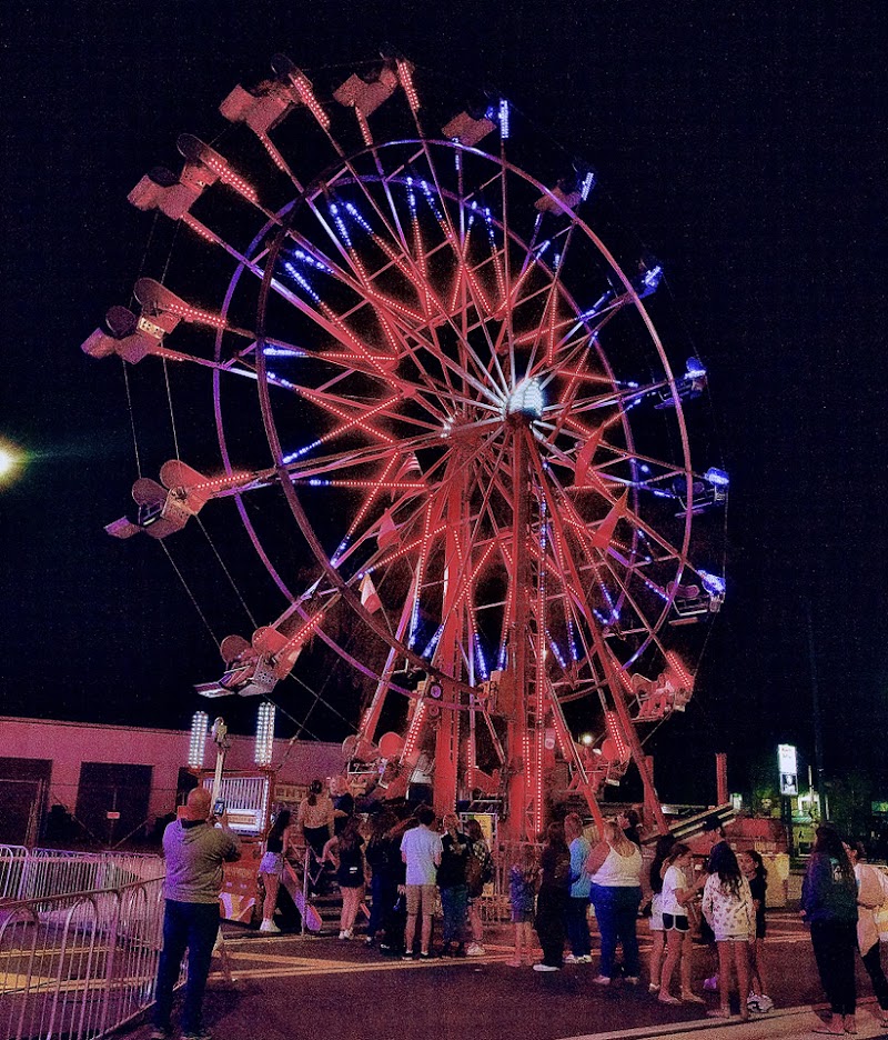 Downtown Palm Harbor photo 4