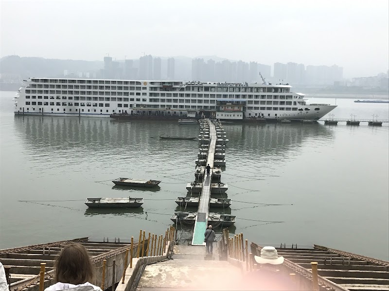 Chuck & Cindy Cruise Planners Travel Agency photo 3
