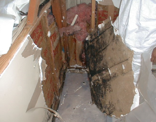 California Industrial Hygiene Services, Inc. photo 4