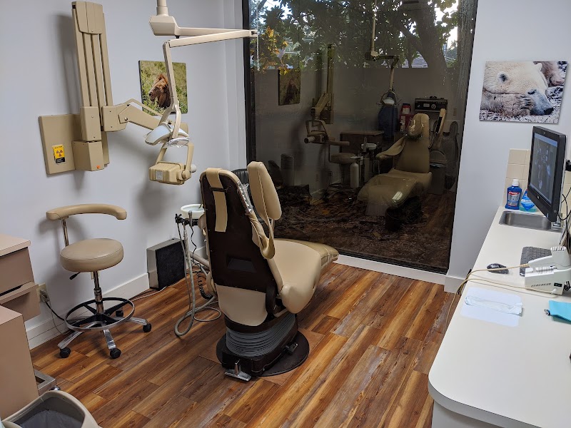 Chase Dental - St. Petersburg photo 2