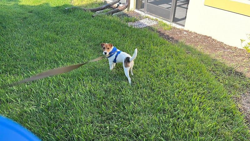 Mike's Pet Sitting in Apollo Beach photo 5