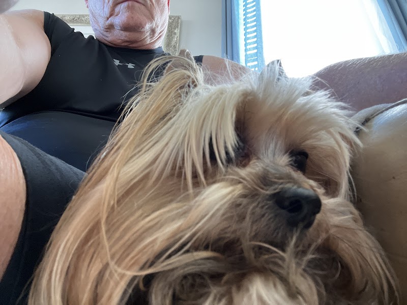 Photo of Mike's Pet Sitting in Apollo Beach