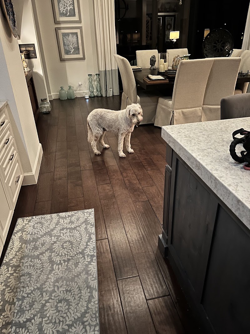 Mike's Pet Sitting in Apollo Beach photo 4