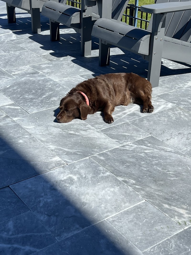 Mike's Pet Sitting in Apollo Beach photo 3