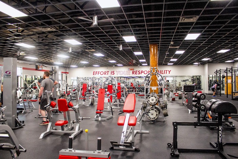 Mountainside Fitness Mesa photo 2