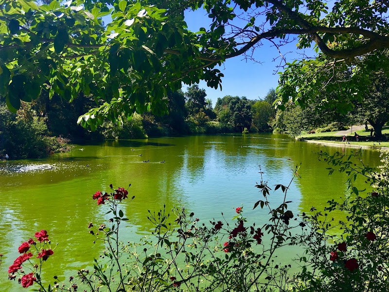 University of California, Davis photo 4