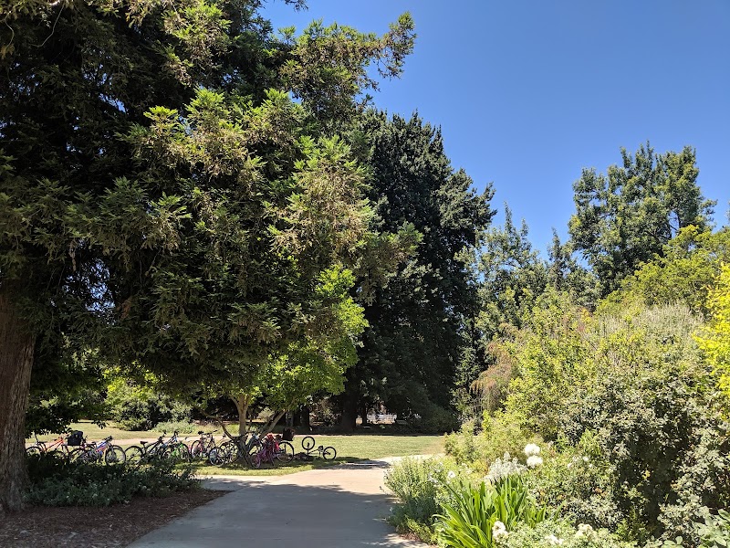 Photo of University of California, Davis