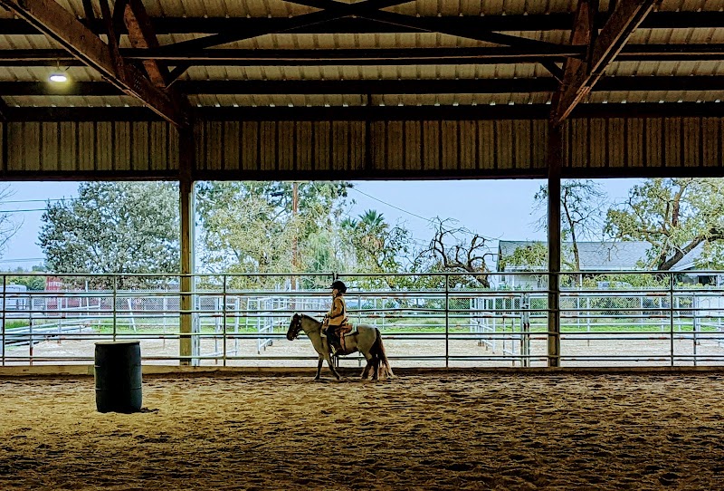Photo of KP Performance Horses