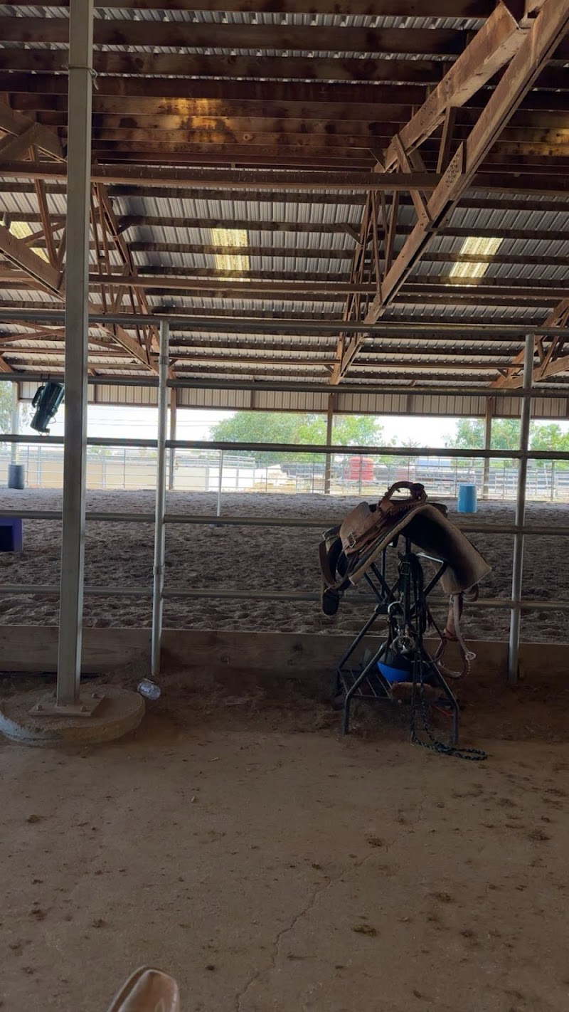 KP Performance Horses photo 2