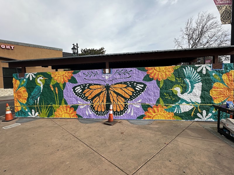 Photo of Butterfly Plaza