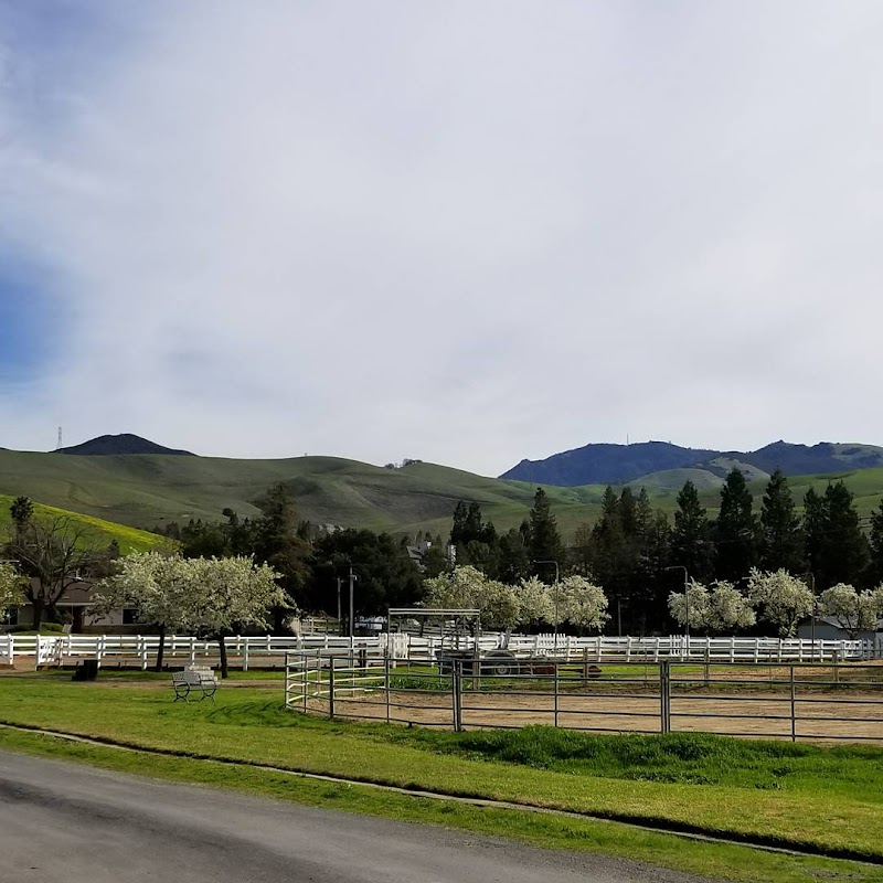 DeVito Equestrian Center photo 5