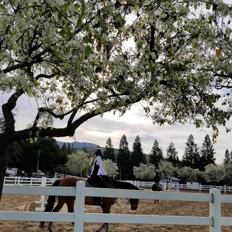 Photo of DeVito Equestrian Center