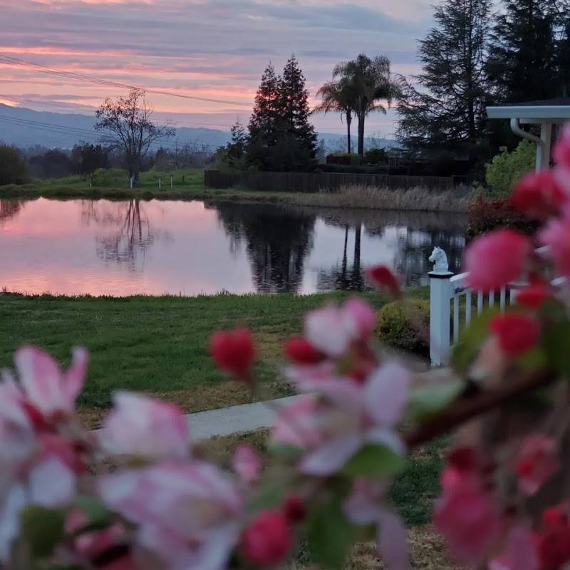 DeVito Equestrian Center photo 4