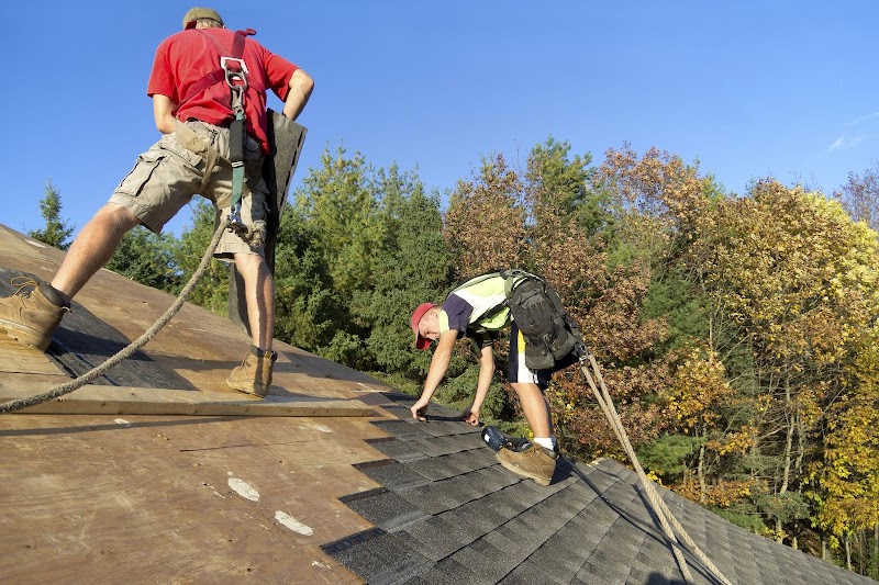 Meier & Sons Roofing photo 2