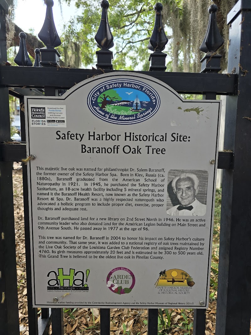 Baranoff Park photo 4