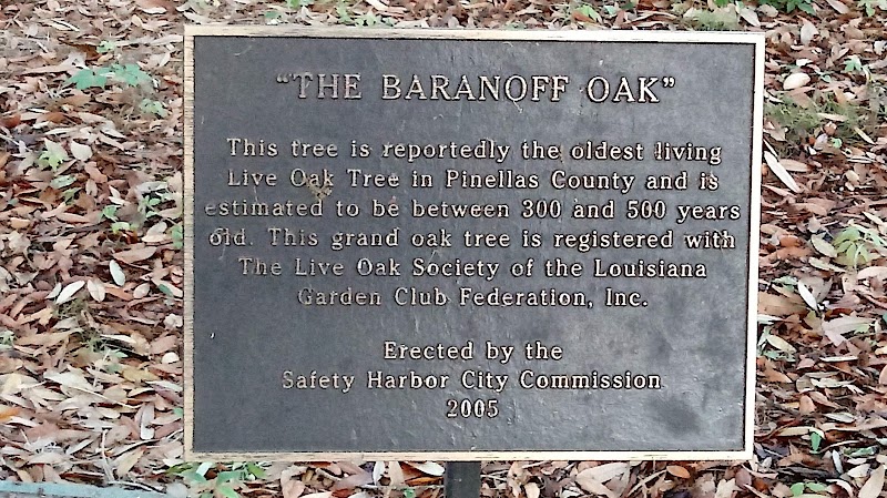 Baranoff Park photo 2