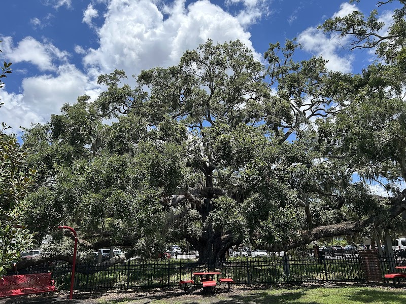 Photo of Baranoff Park