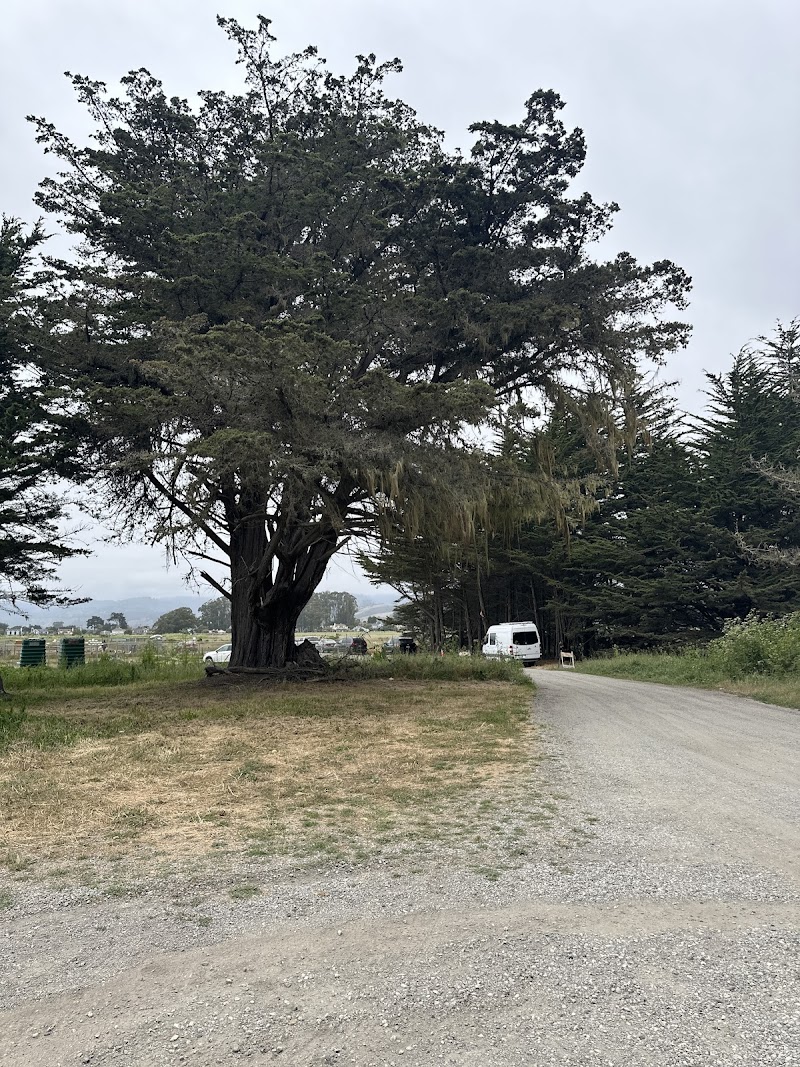 Smith Field Park photo 3