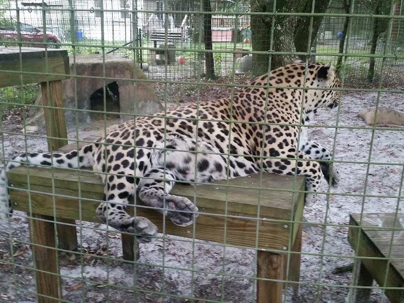 Wildlife Survival Sanctuary photo 2