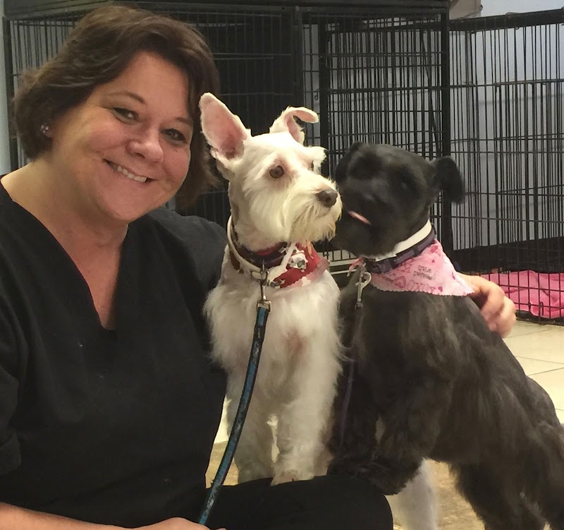 Puppycutz Pet Spa photo 2