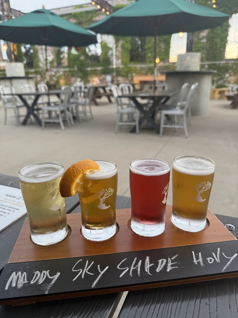 MadTree Brewing photo 5