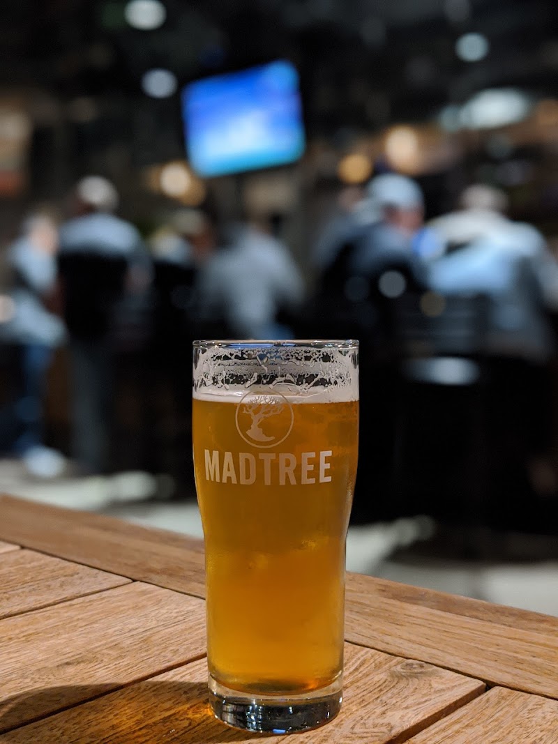 MadTree Brewing photo 3