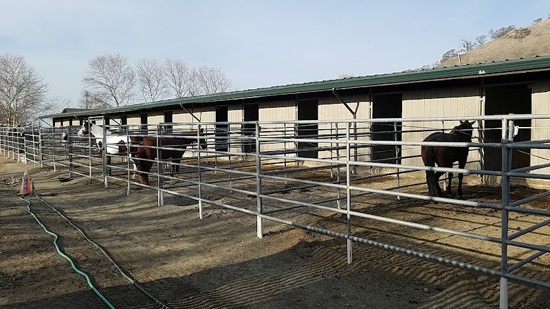Summit Ranch Equine Center photo 3