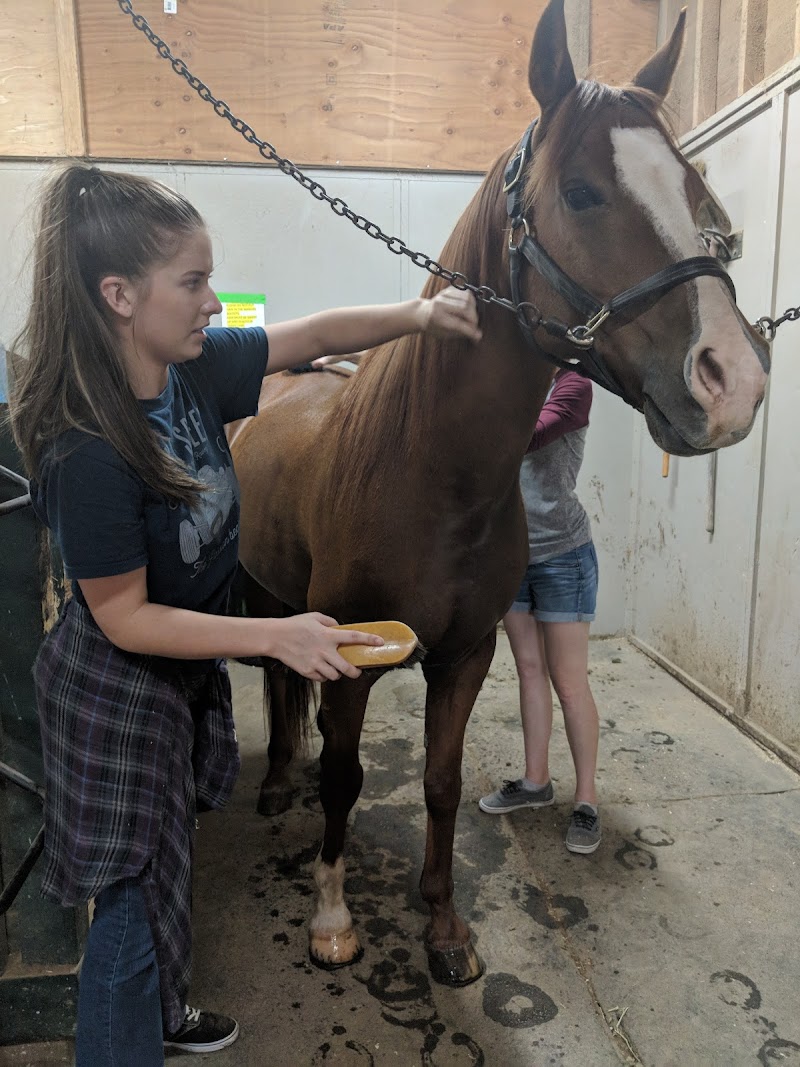 Summit Ranch Equine Center photo 4