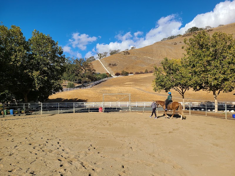 Summit Ranch Equine Center photo 2