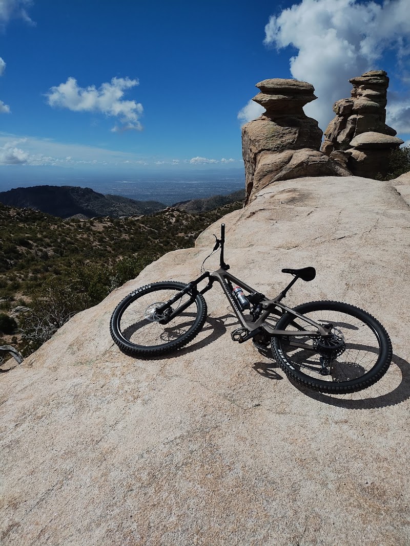 Earlybird Bikes photo 5