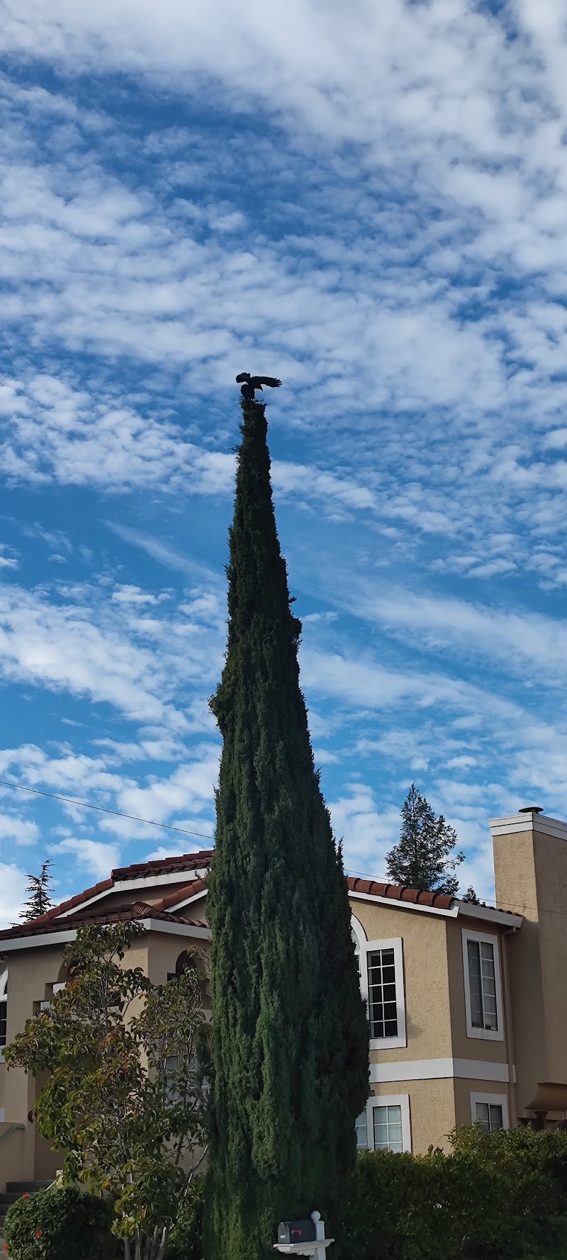 Photo of San Carlos Youth Center