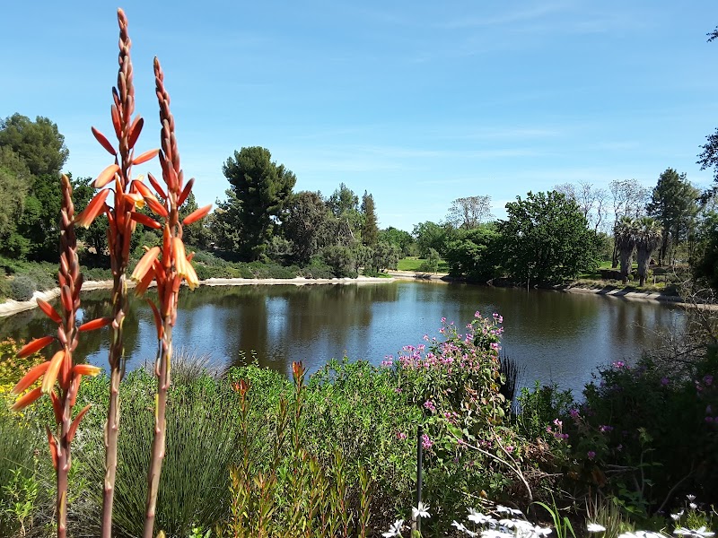 Carolee Shields White Flower Garden photo 2