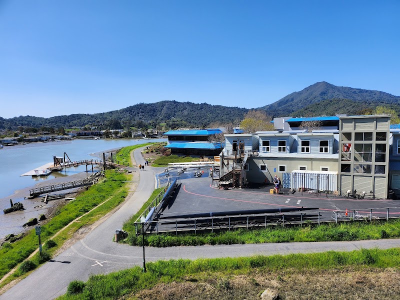 Marin Rowing Association photo 5