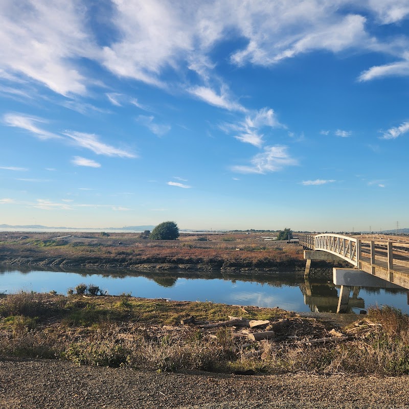 Photo of Hayward Regional Shoreline Parking