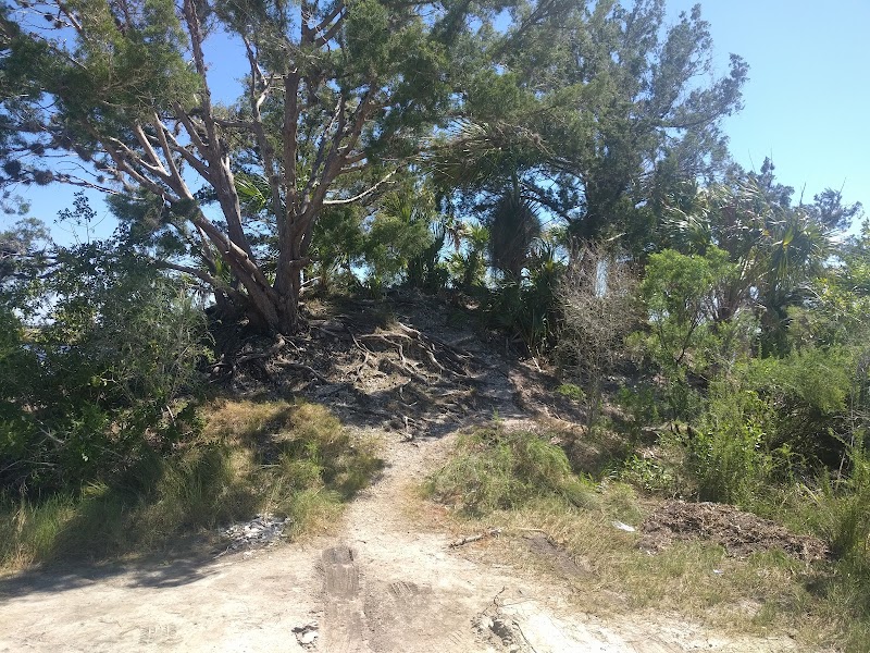 Lorna's Folly Bridge photo 3