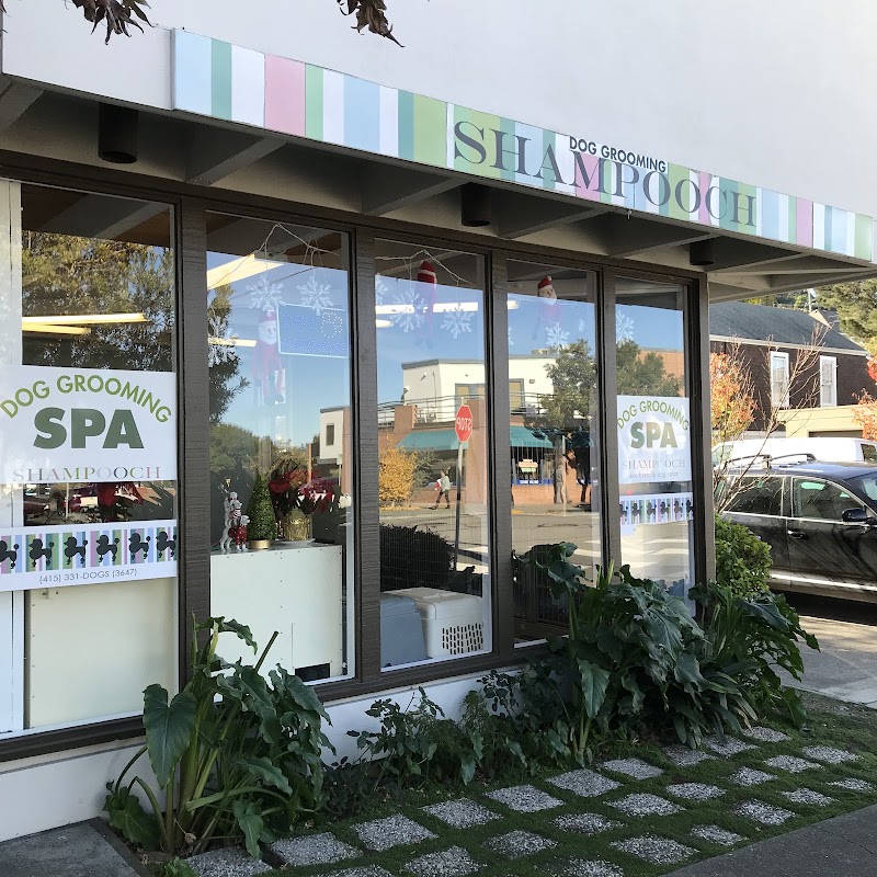 Sausalito Shampooch Dog Salon photo 4