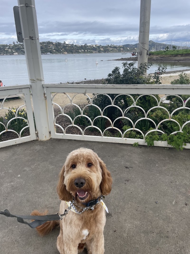 Sausalito Shampooch Dog Salon photo 3