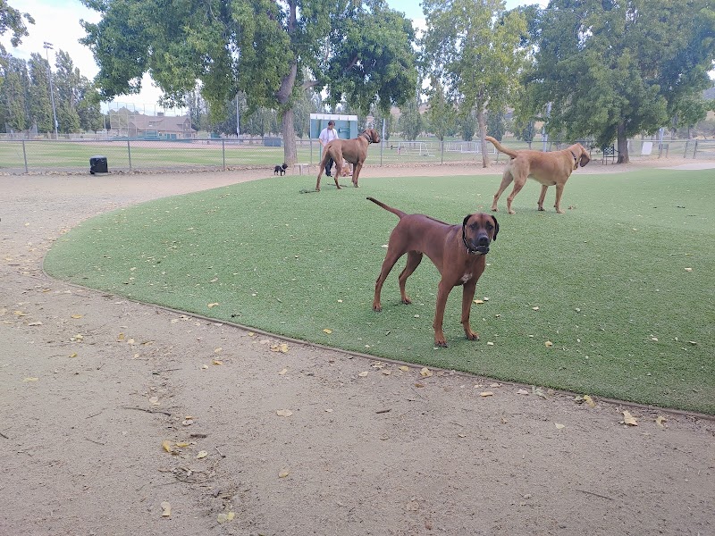 Benicia Dog Park photo 5