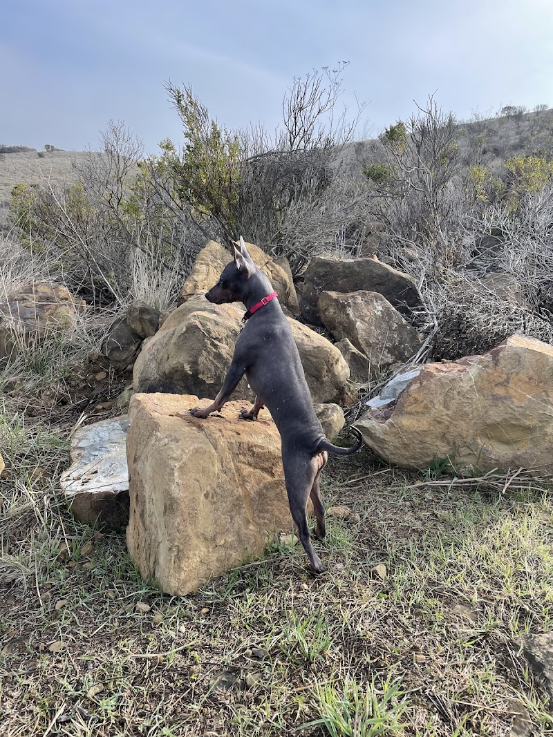 Benicia Dog Park photo 3