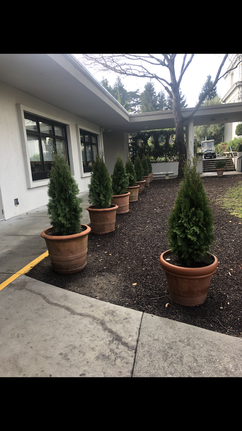 Redwood maintenance services photo 2